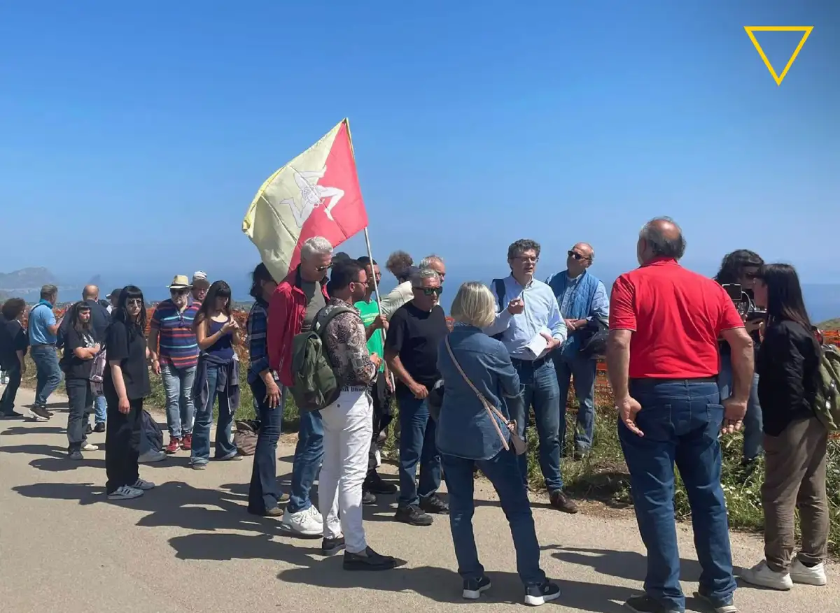 1600 ulivi abbattuti per il Thyrrenian link: parte la mobilitazione dei cittadini di Termini
