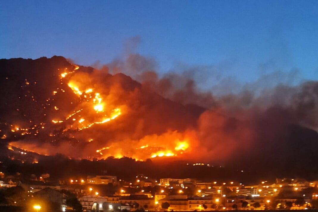 Non esiste una legge per risarcire i siciliani danneggiati dagli incendi.