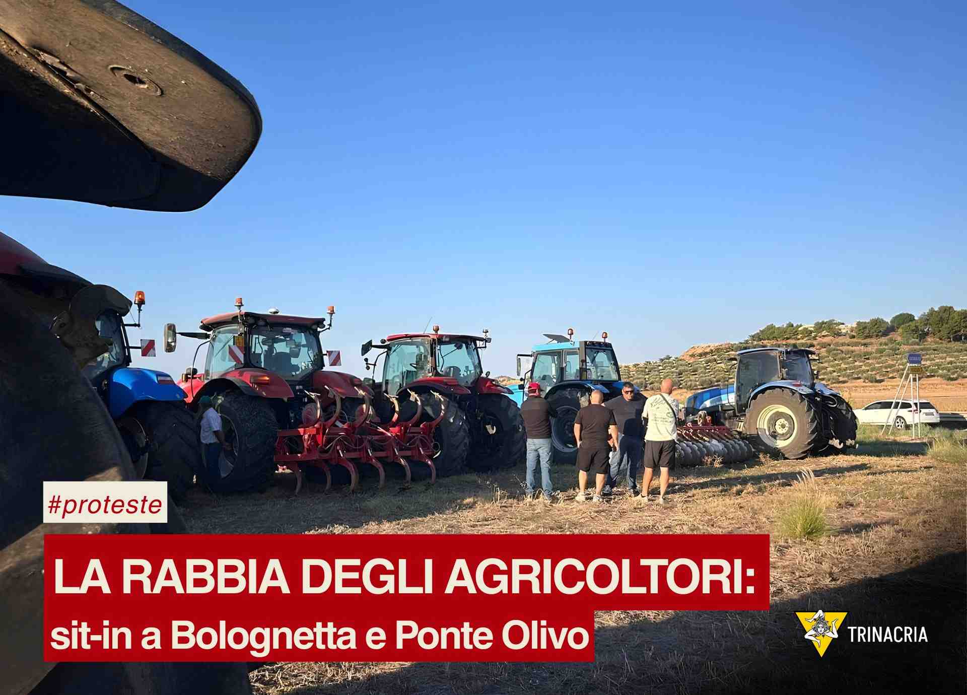 La rabbia degli agricotori: sit-in a Bolognetta e Ponte Olivo